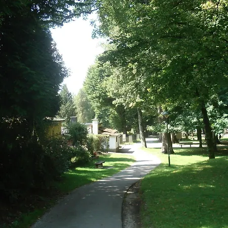 Hofmann Salzburg
